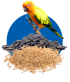 ALIMENTOS PARA OTROS ANIMALES