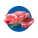 AVES, CARNES Y CERDO