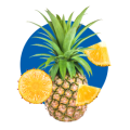 HORTALIZAS/ FRUTAS/ VERDURAS