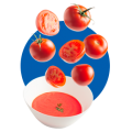 SALSAS PARA PASTAS