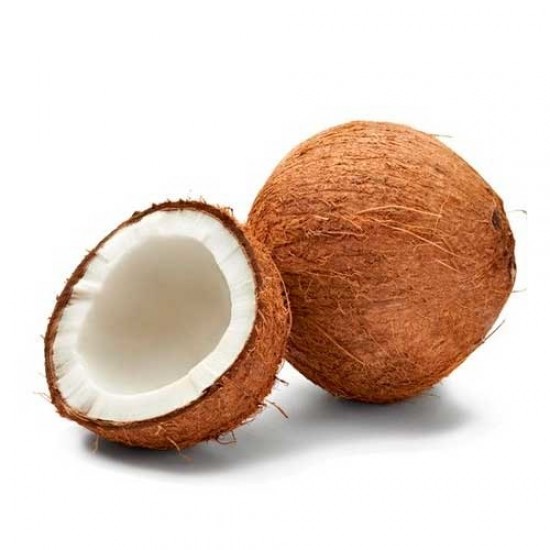 COCO EN CONCHA X UND