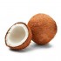 COCO EN CONCHA X UND