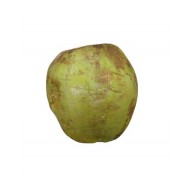 COCO DE AGUA