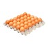 HUEVOS EL TUNAL 30UND
