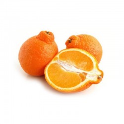 NARANJA TANGELO X KG