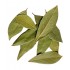 LAUREL X KG HOJA