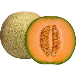 MELON CRIOLLO X KG