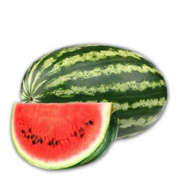 PATILLA X KG