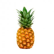 PINA X UND