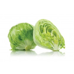 LECHUGA AMERICANA X KG