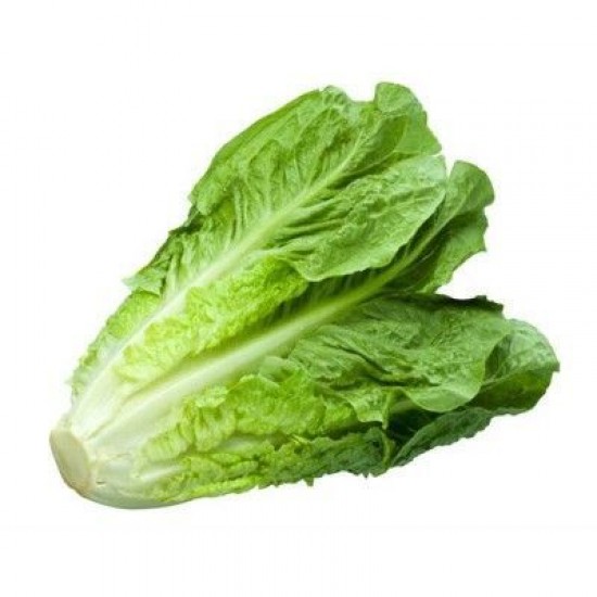 LECHUGA ROMANA X KG