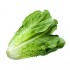 LECHUGA ROMANA X KG