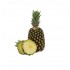 PINA TRUJILLANA  X UND