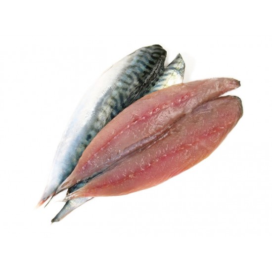 SARDINA EN FILET X KG