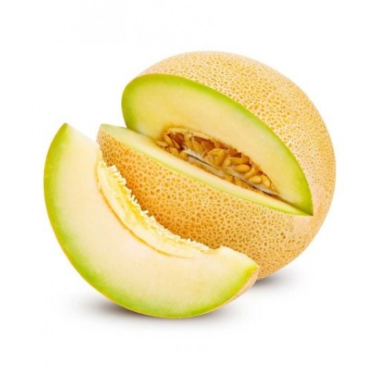 MELON GALIA X KG
