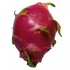 PITAHAYA ROJA X KG
