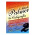 CALIGRAFIA PALMER N2