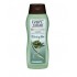 CHAMPU EVERY NIGHT 365ML BIO TE VER ALOE