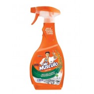 DESENGRASANTE MR MUSCULO 500ML NARAN GAT