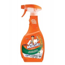 DESENGRASANTE MR MUSCULO 500ML NARAN GAT