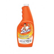 DESENGRASANTE MR MUSCULO 500ML NARAN REP
