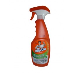 DESENGRASANTE MR MUSCULO 500ML VERDE GAT