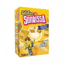 GELATINA SONRISSA 66GR PINA