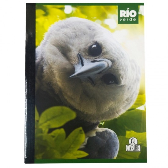 LIBRETA CARIBE 100H CUADRICULADO BIOPLANET