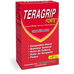 TERAGRIP FORTE DIA FARMA X 6 SOBRES