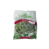 BERRO HIDROPONIAS 500 G ATADO