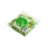 CILANTRO FRESH PACK 30GR