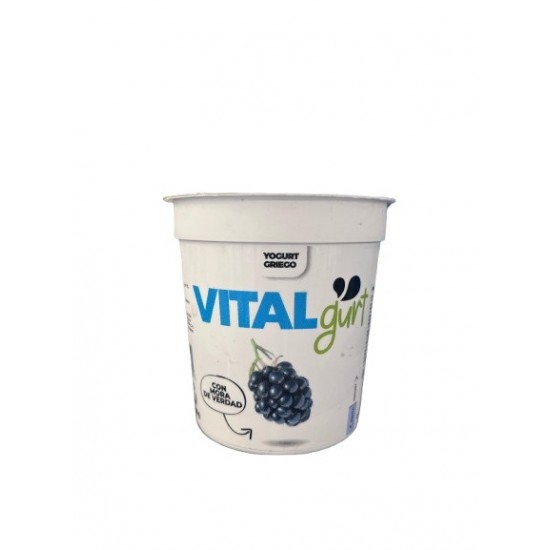 YOGURT VITALGURT 180GR MORA