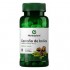 CASTANO DE INDIAS HERBAPLANT 450MGX60TAB