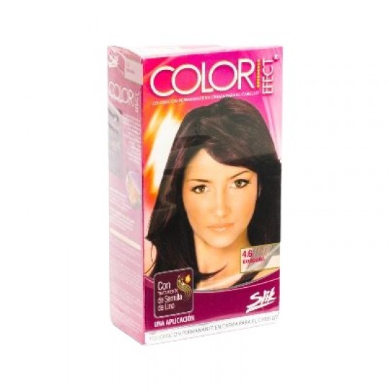 TINTE COLOR EFECT SLIK TUBO BORGONA 4.6