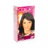 TINTE COLOR EFECT SLIK TUBO BORGONA 4.6