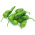 PIMIENTO PADRON 150GR