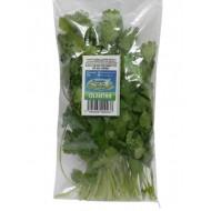 CILANTRO PARADIS FRESH 40GR
