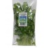 CILANTRO PARADIS FRESH 40GR