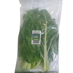 ACELGA PARADIS FRESH 200GR