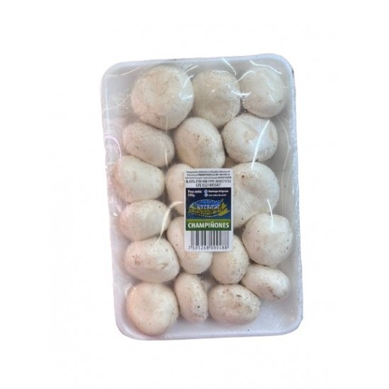 CHAMPINONES PARADIS FRESH 300GR