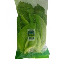 LECHUGA ROMANA PARADIS FRESH 500GR