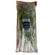 COMPUESTO DE CILATRO Y CEBOLLIN PARADIS FRESH 150GR
