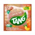 BEBIDA TANG 13GR TE DURAZNO
