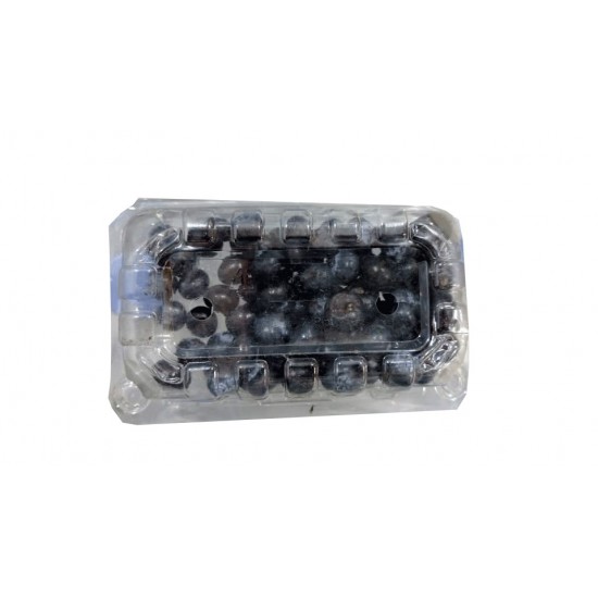 BLUEBERRIES AGRO ISM 125 G