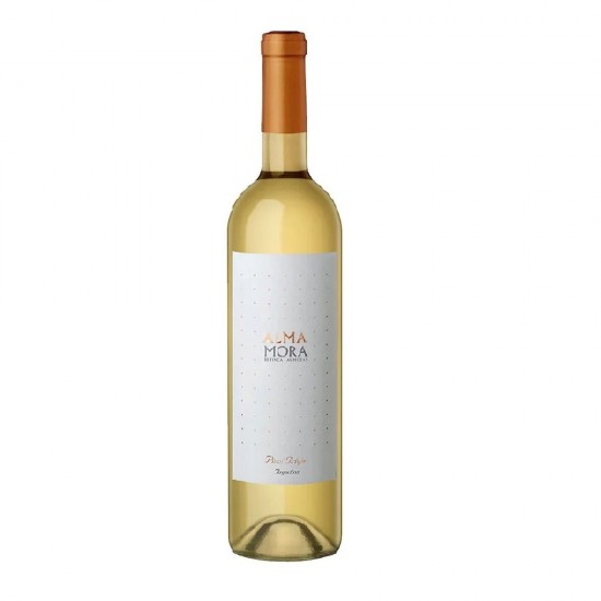 VINO ALMA MORA 075LT PINOT GRIGIO