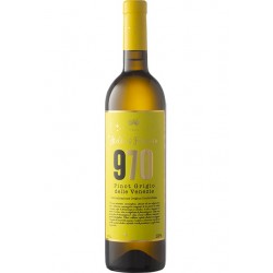 VINO BLANCO STELLE & FORTUNA 075LT PINOT GRIGIO 970