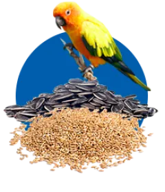 ALIMENTOS PARA OTROS ANIMALES