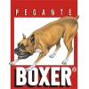 BOXER